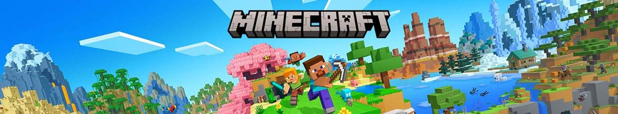 Newsletter de Minecraft